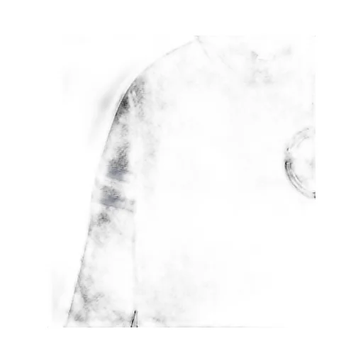 T-Shirt With Round Neck And Long Sleeves