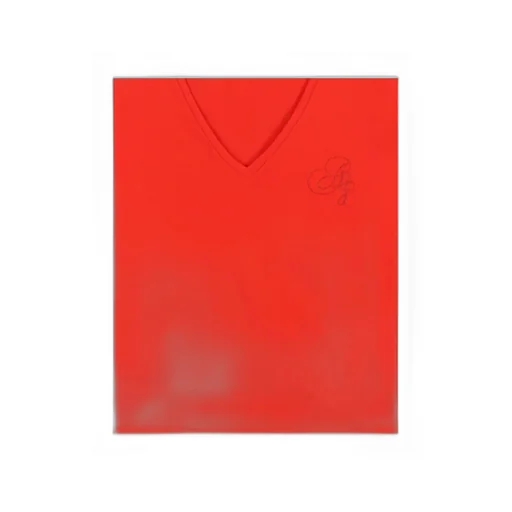 V-Neck Logo T-Shirt