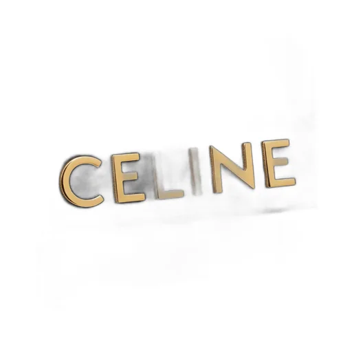 Long Chain Shoulder Bag Matelasse Monochrome Celine In Quilted Goatskin