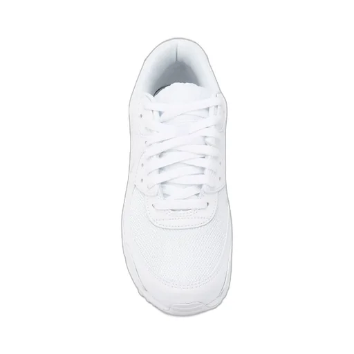 Nike Air Max 90 Lace-Up Sneakers