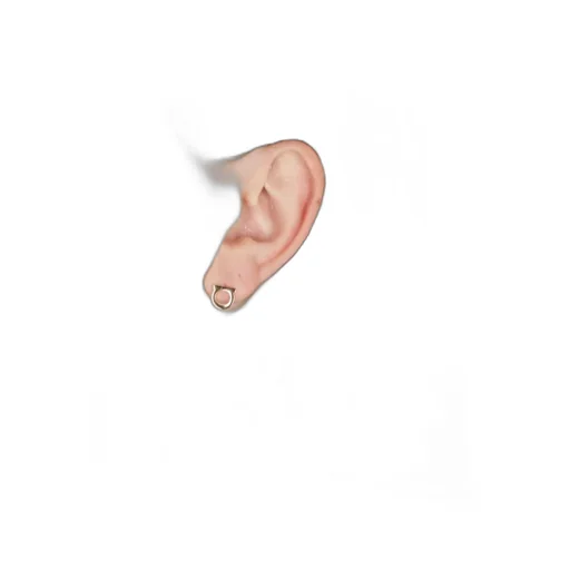 Logo Earrings