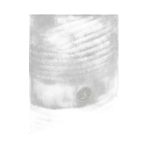 Maison Michel Logo Plaque Virginie Hat