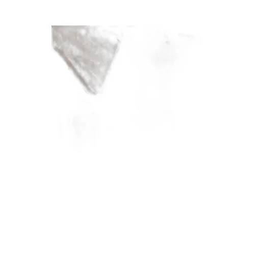 Pt Torino Flared Tech Fabric Pants