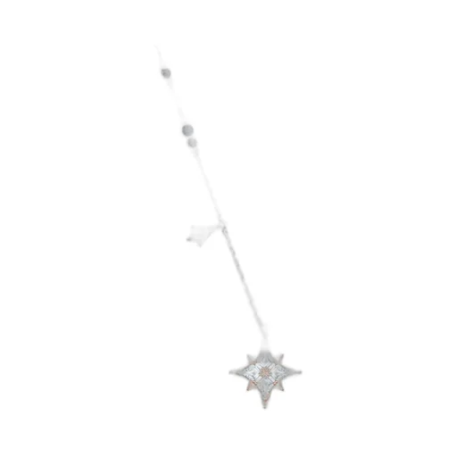 Star Logo Necklace