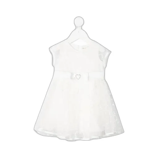Floral Embroidery Lace Dress