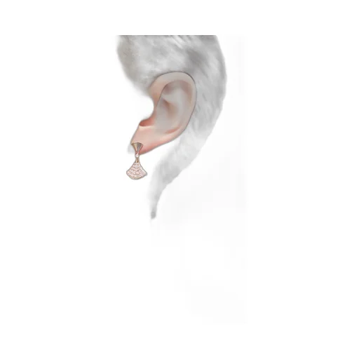 Logo Earrings