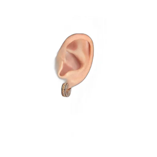 B.Zero 1 Rock Series Earrings