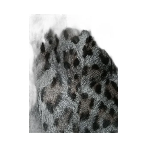 Leopard Coat