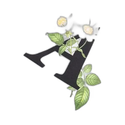 Daisy Logo Cropped T-Shirt
