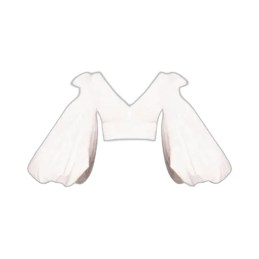 Balloon-Sleeves Cropped Top
