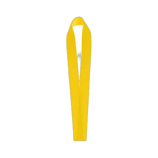 X Automobili Lamborghini Lanyard