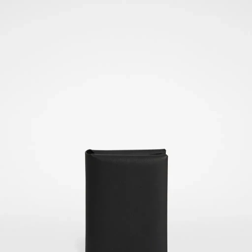 Passport Holder