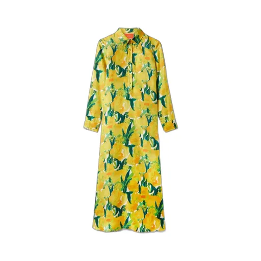 Swing Shirt Dress