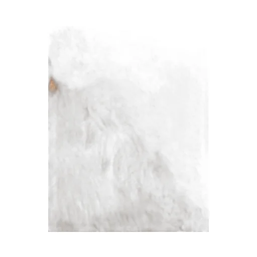 Long-Sleeved Fur Coat