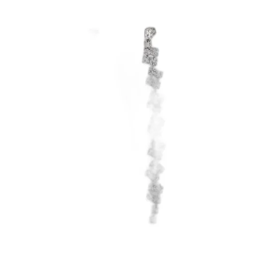 Pendant Earrings