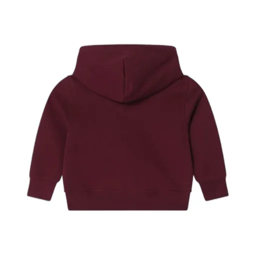 Polo Ralph Lauren Kids Bear-Printed Hoodie