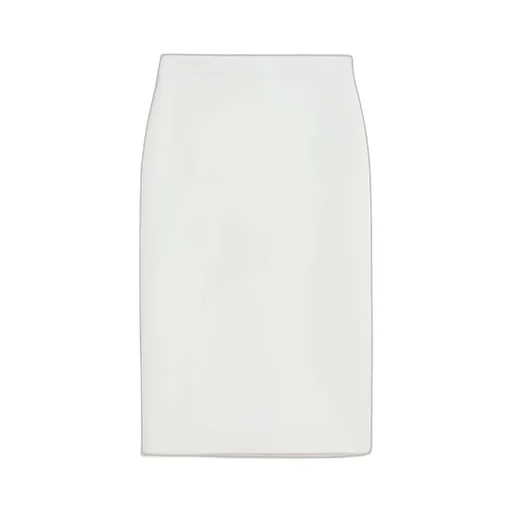 Max Mara Pencil Skirt
