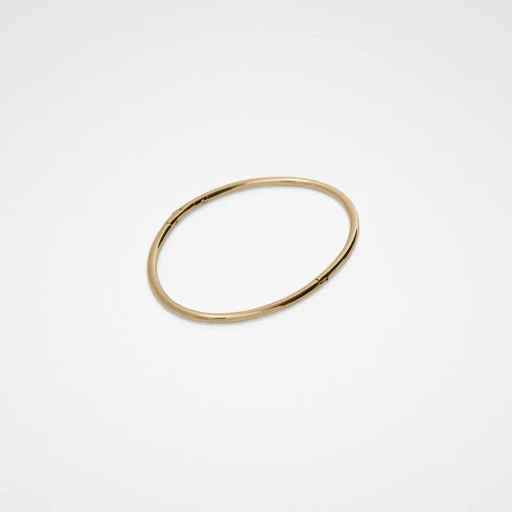 Ring Anklet
