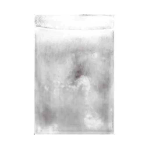 Rick Owens Short Sleeve Crewneck T-Shirt