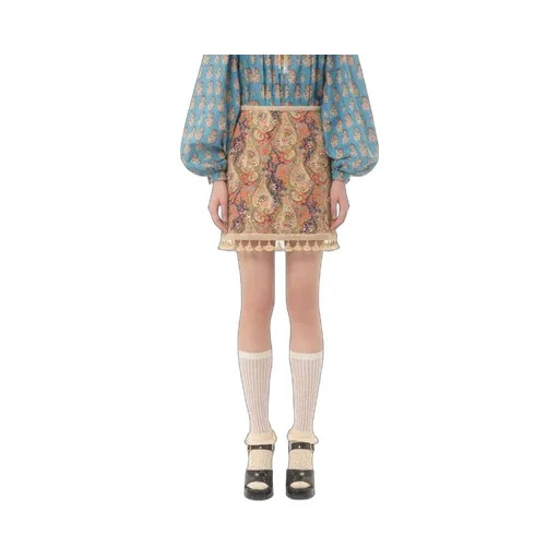 Embroidered Mini Skirt