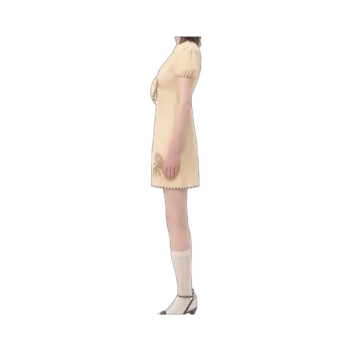 Short Sleeve Dress