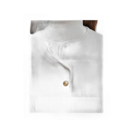 Moncler Caramagne Buttpn-Up Belted Jacket