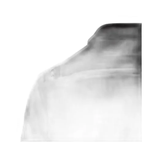 Rick Owens Buttoned Outershirt