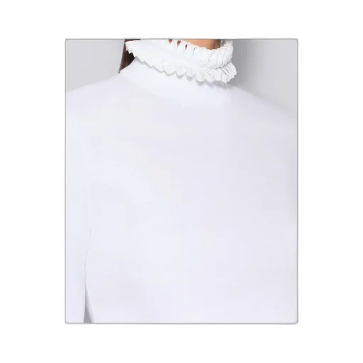 AlaÏA Cropped T-Shirt