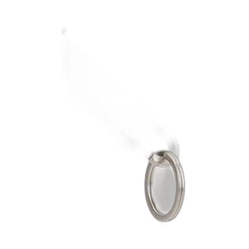 Gemini Keyring