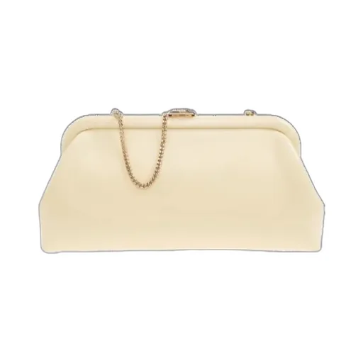 Skylar Clasp Chain Clutch Bag