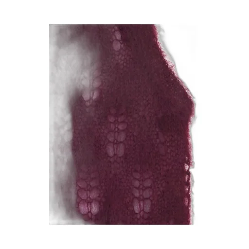 Crew-Neck Tank Top