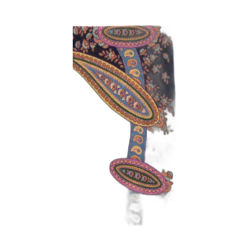 Etro Paisley Printed Raw Edge Scarf