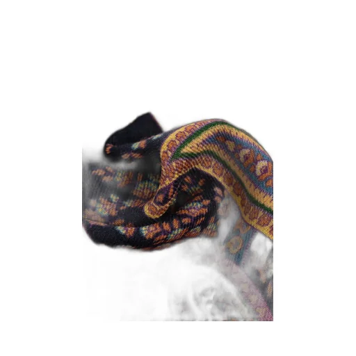 Etro Paisley Printed Raw Edge Scarf