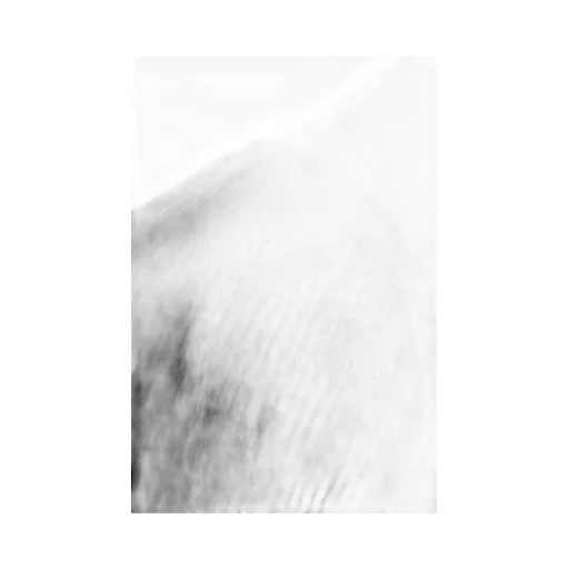 Rick Owens Concordians Rib Jersey Ls T-Shirt