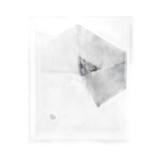 André Shirt