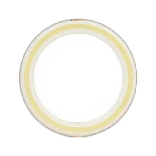 Celine Sorbet Bangle In Resin And Brass With Gold Finish