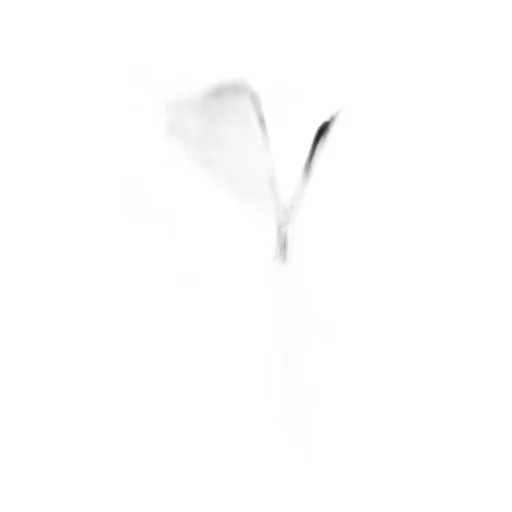 Moorer Jesse-Stp Bomber Jacket