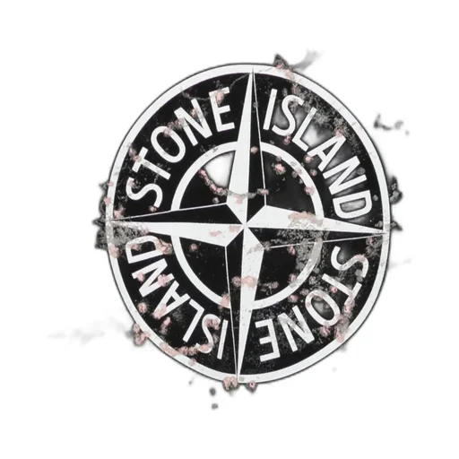 Stone Island Junior Compass Printed Crewneck Sweatshirt