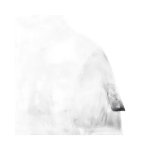 Stone Island Down Jacket