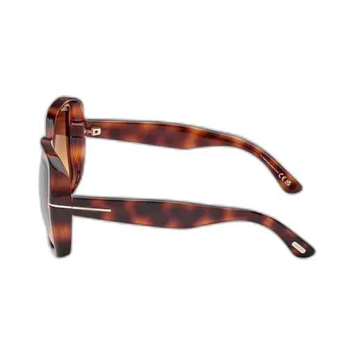 Full Frame Sunglasses