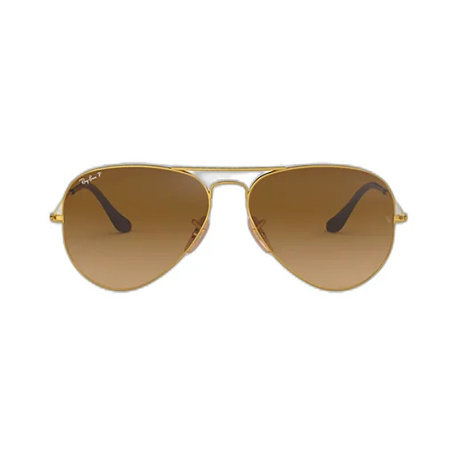 Ray-Ban Aviator Frame Sunglasses