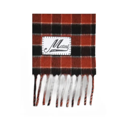 Checked Fringed Scarf