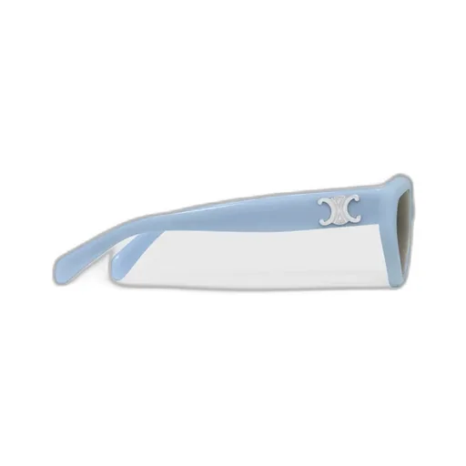 Triomphe 17 Sunglasses In Acetate