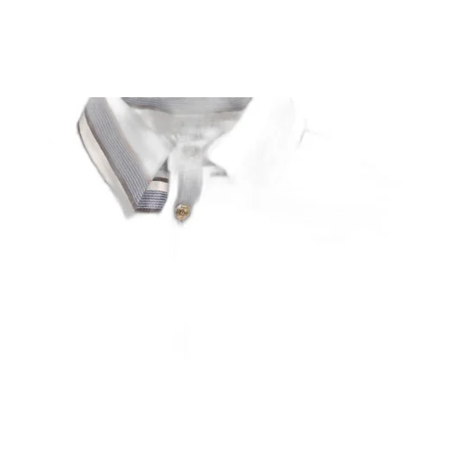 Lapel Long Sleeve Shirt
