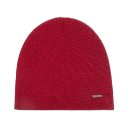 Dsquared2 Logo Plaque Beanie