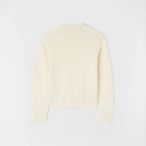 Wool Crew-Neck Sweater