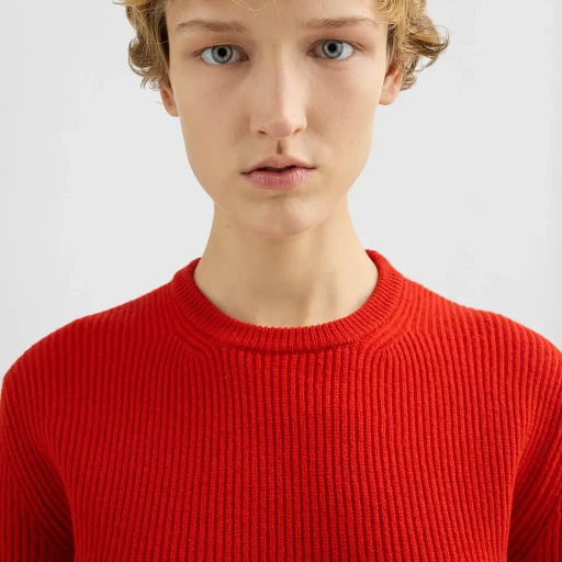 Wool Crew-Neck Sweater
