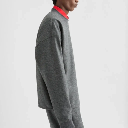 Wool Melton Crew-Neck Sweatshirt