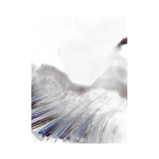 Weekend Max Mara Pattern-Printed Fringed Scarf