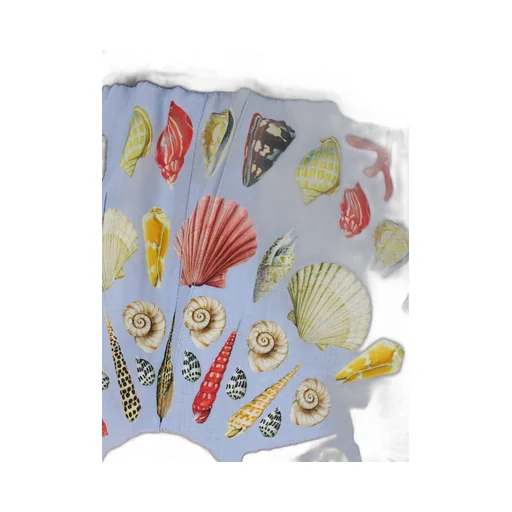 Dolce & Gabbana Shell Printed Shorts
